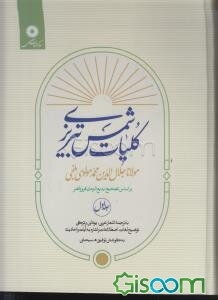 کلیات شمس تبریزی با ترجمه اشعار عربی، یونانی و ترکی توضیح لغات، اصطلاحات و اشاره به آیات و احادیث (جلد 1)