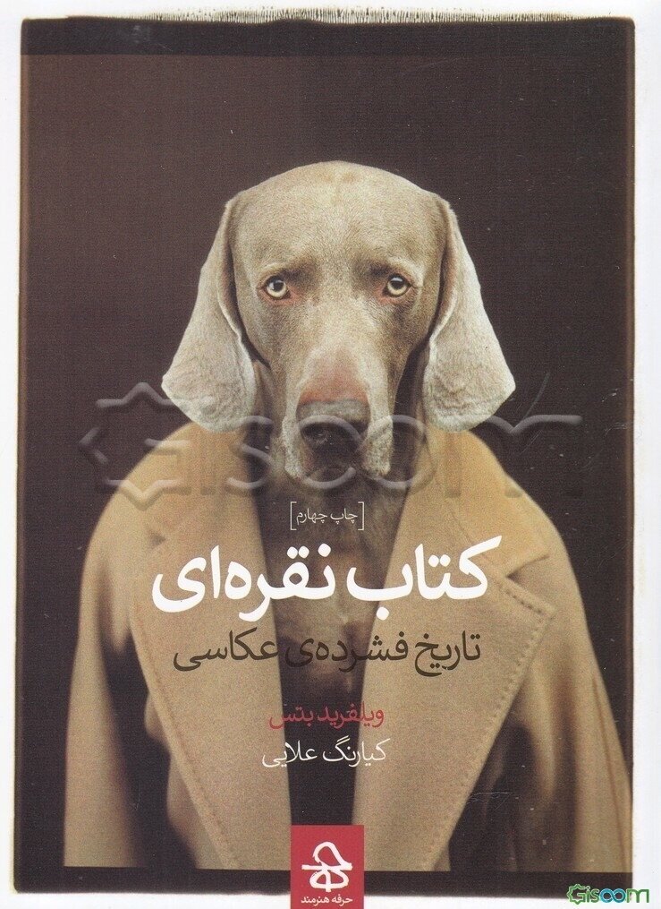 کتاب نقره‌ای: تاریخ فشرده‌ی عکاسی