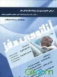 آناتومی مغز