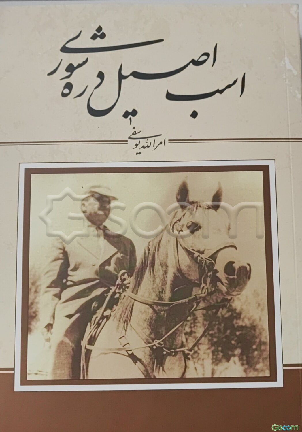 اسب اصیل دره‌شوری