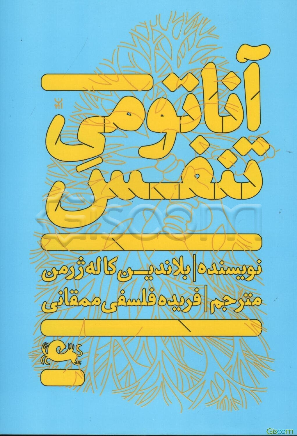 آناتومی تنفس