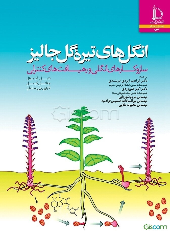 انگل‌های تیرة گل جالیز