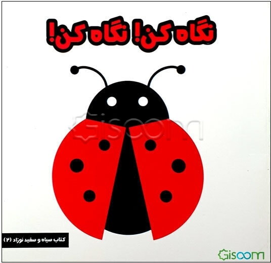 نگاه کن، نگاه کن