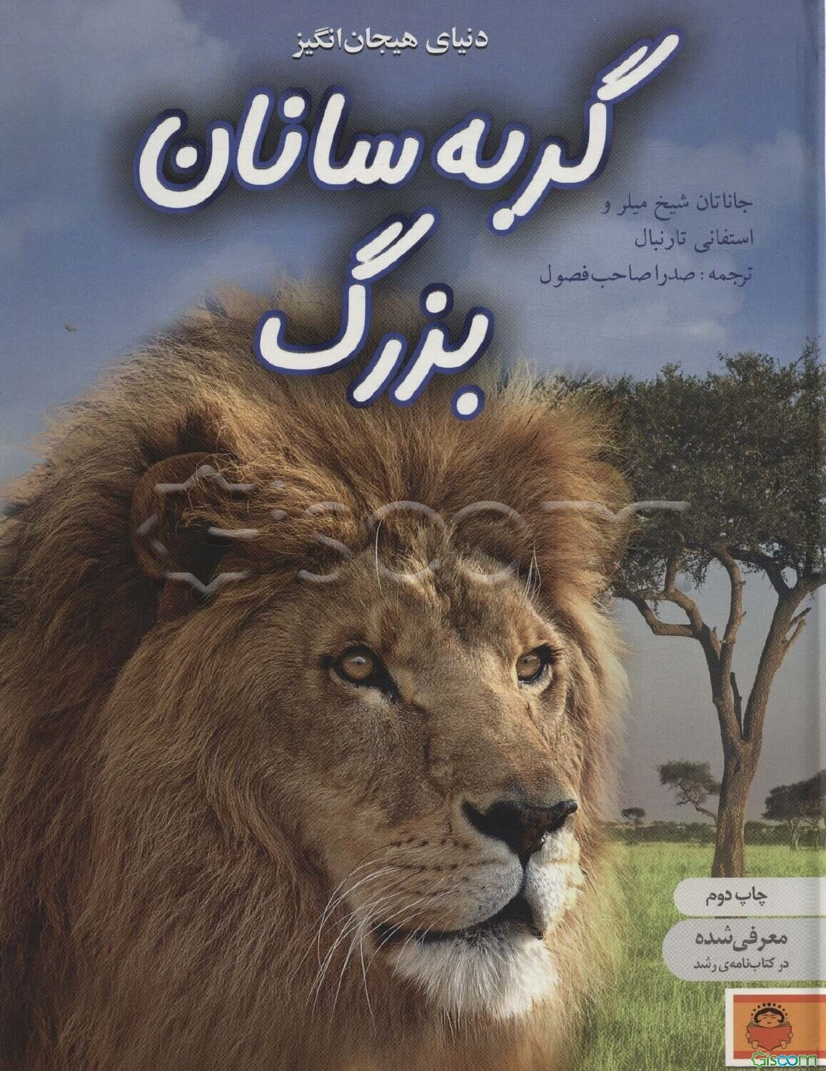 دنیای هیجان‌انگیز گربه‌سانان بزرگ