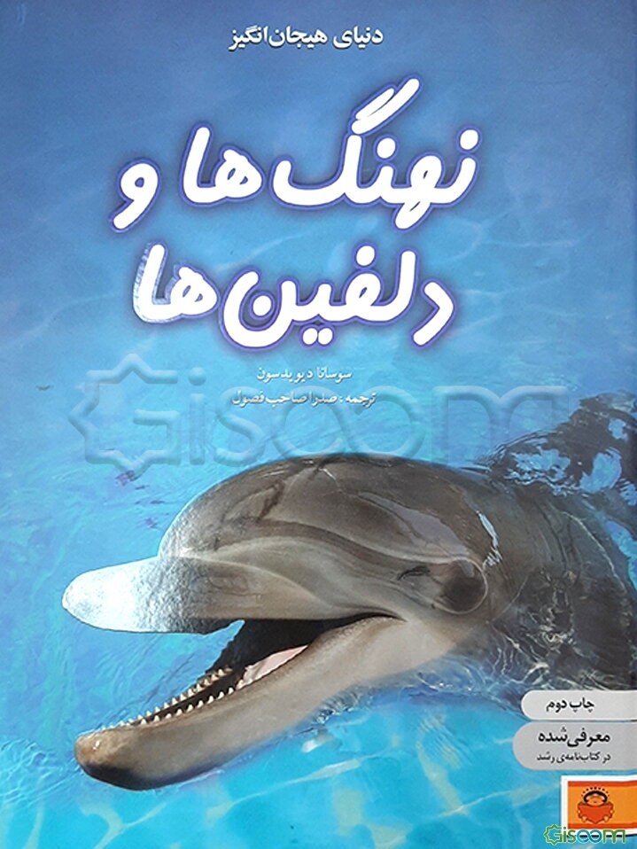 دنیای هیجان‌انگیز نهنگ‌ها و دلفین‌ها