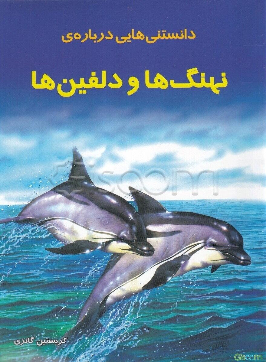دانستنی‌هایی درباره‌ی نهنگ‌ها و دلفین‌ها