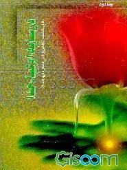 در سایه اولیاء خدا: بالغ بر 600 نکته از زندگانی امامان (ع) (جلد 2)
