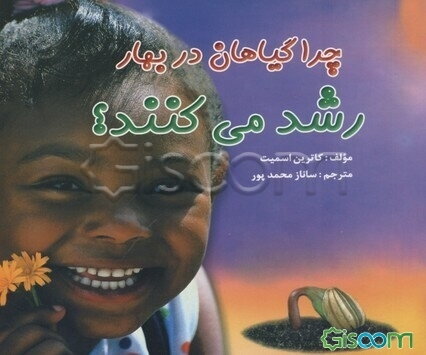 چرا خرس‌های قطبی یخ نمی‌زنند؟