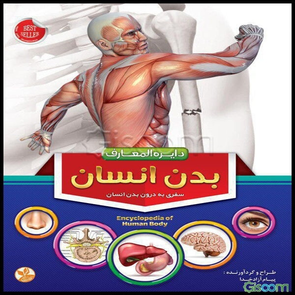 ‏‫دایره‌المعارف بدن انسان