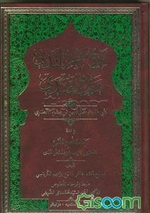 شرح قطر الندی و بل الصدی و معه کتاب نهج التقی