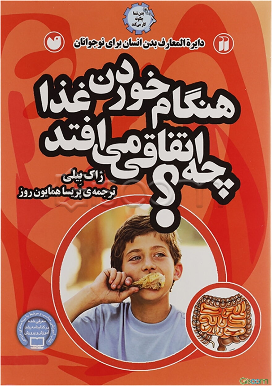 هنگام خوردن غذا چه اتفاقی می‌افتد؟