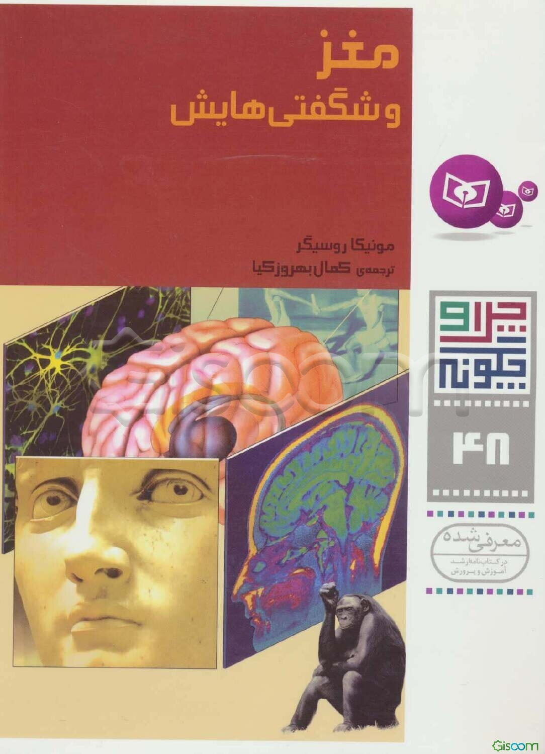 مغز و شگفتی‌هایش