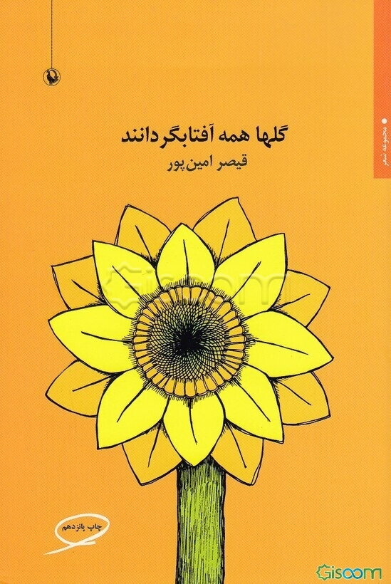 گلها همه آفتابگردانند