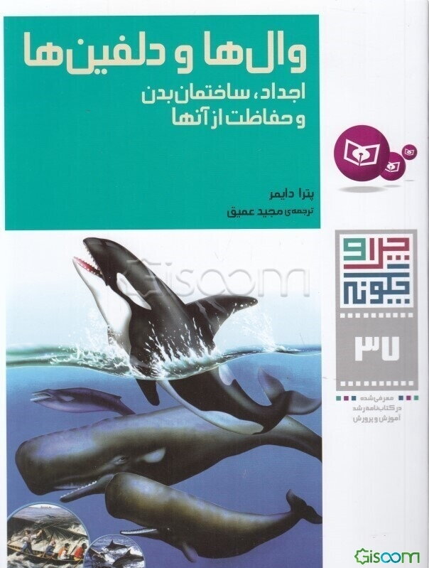 وال‌ها و دلفین‌ها: اجداد، ساختمان بدن و حفاظت از آنها