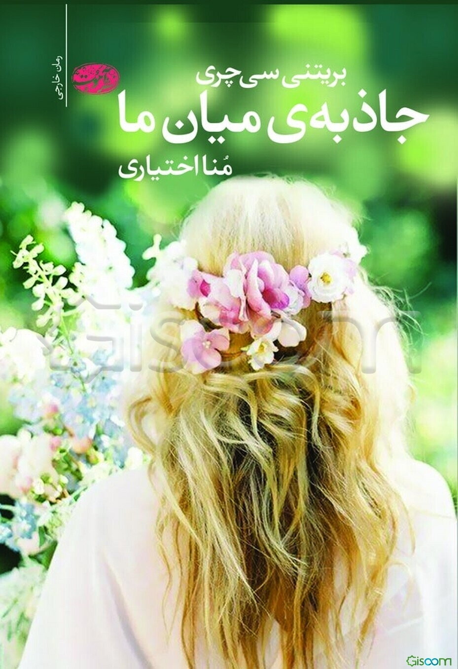 جاذبه‌های میان ما (رمان)