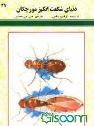 دنیای شگفت‌انگیز مورچگان