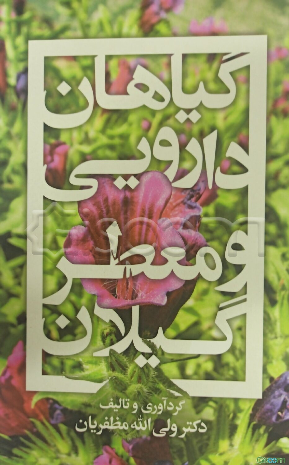 گیاهان دارویی و معطر گیلان