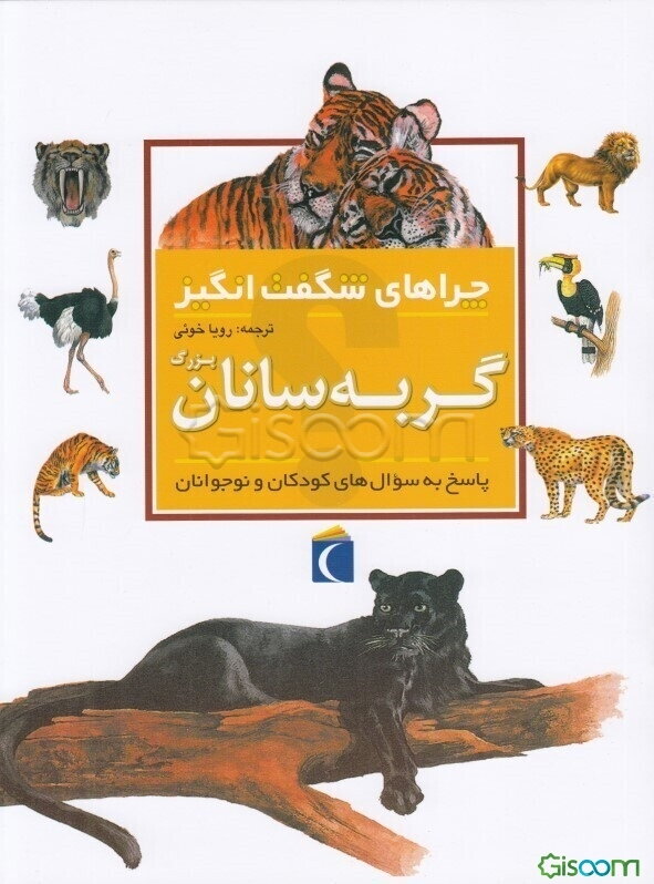 چراهای شگفت‌انگیز: گربه‌سانان بزرگ: پاسخ به سوال‌های کودکان و نوجوانان