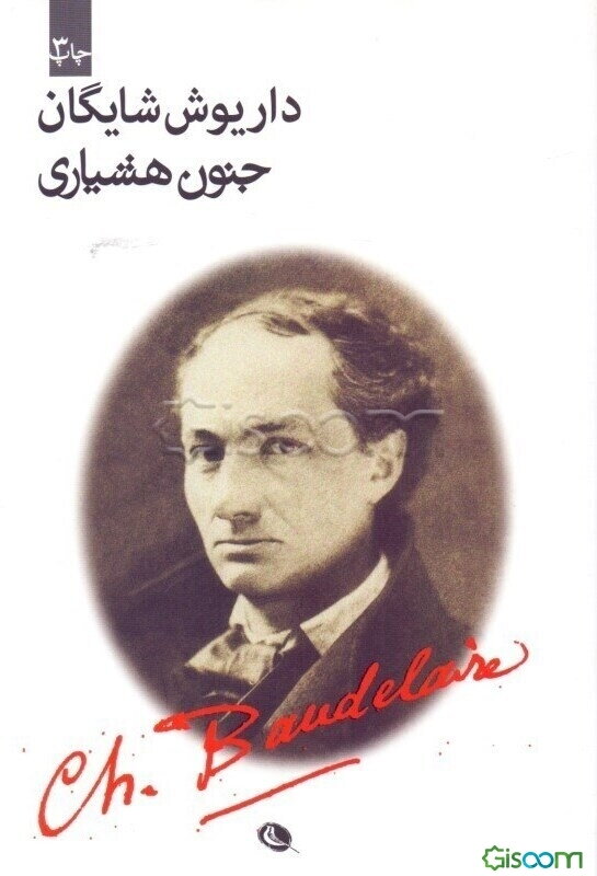 جنون هشیاری