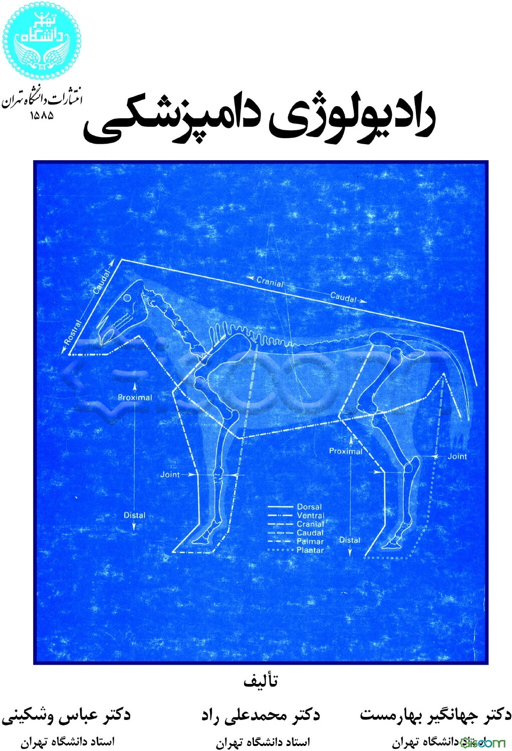 رادیولوژی دامپزشکی