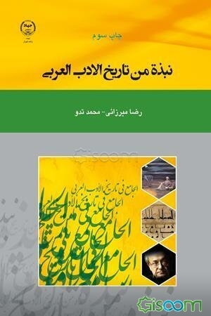 نبذه من تاریخ الادب العربی