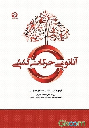 آناتومی حرکات کششی