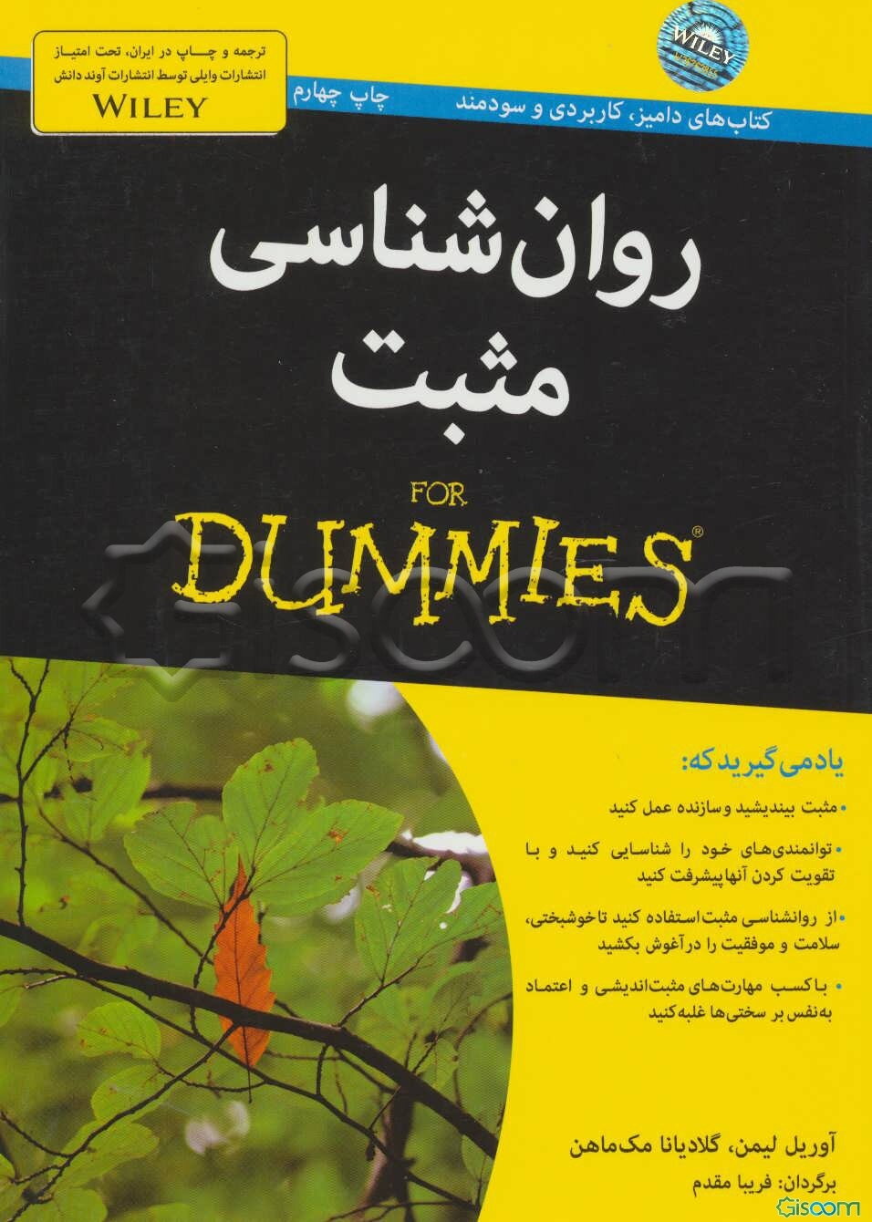 روانشناسی مثبت for dummies
