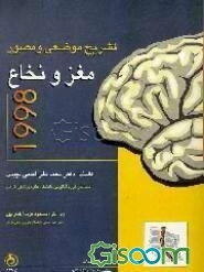 تشریح موضعی و مصور مغز و نخاع