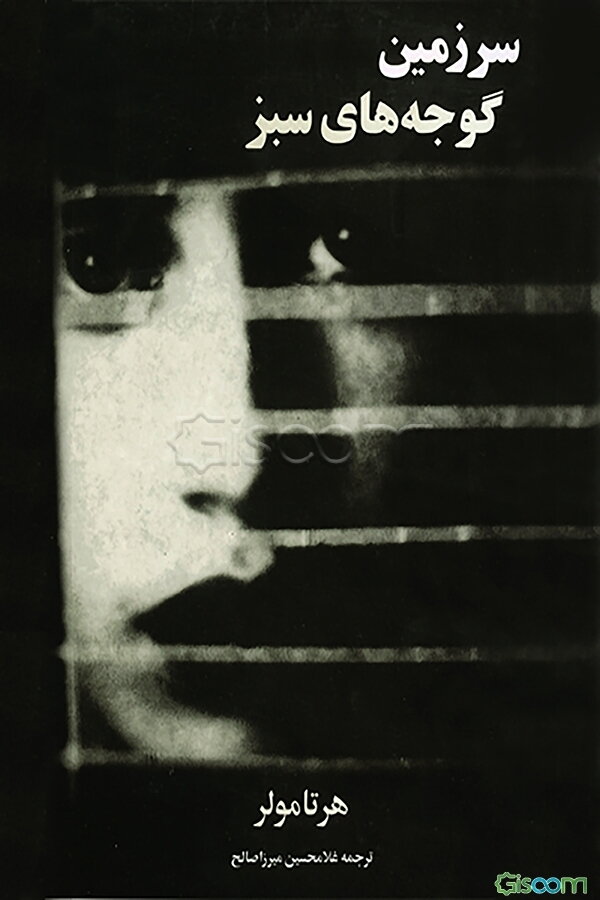 سرزمین گوجه‌های سبز (رمان)