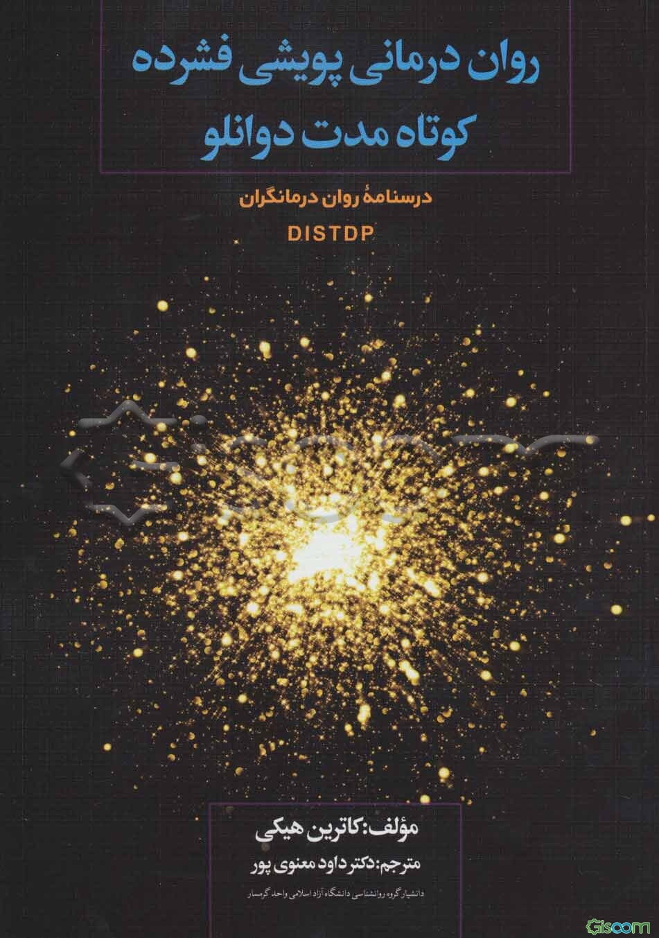 روان‌درمانی پویشی فشرده کوتاه مدت دوانلو DIDTDP: درسنامه روان درمانگران