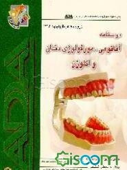 آناتومی مورفولوژی دندان و اکلوژن