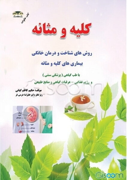 درمان بیماری‌های کلیه و مثانه با طب گیاهی: سنگ مثانه، عفونت کلیه و مثانه، شب ادراری، رژیم غذایی