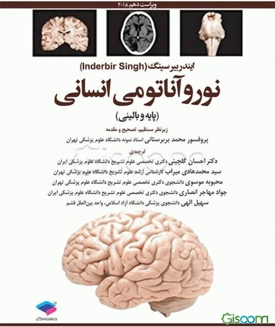 نوروآناتومی انسانی (پایه و بالینی)