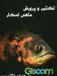 تکثیر و پرورش ماهی اسکار