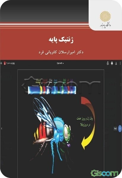 ژنتیک پایه (رشته زیست‌شناسی)