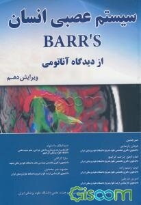 سیستم عصبی انسان BARRS از دیدگاه آناتومی