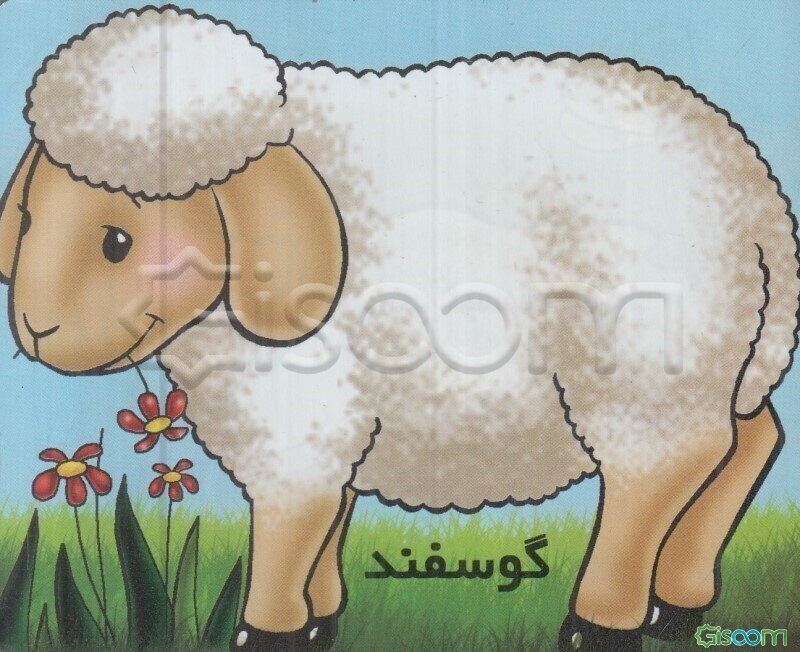 گوسفند