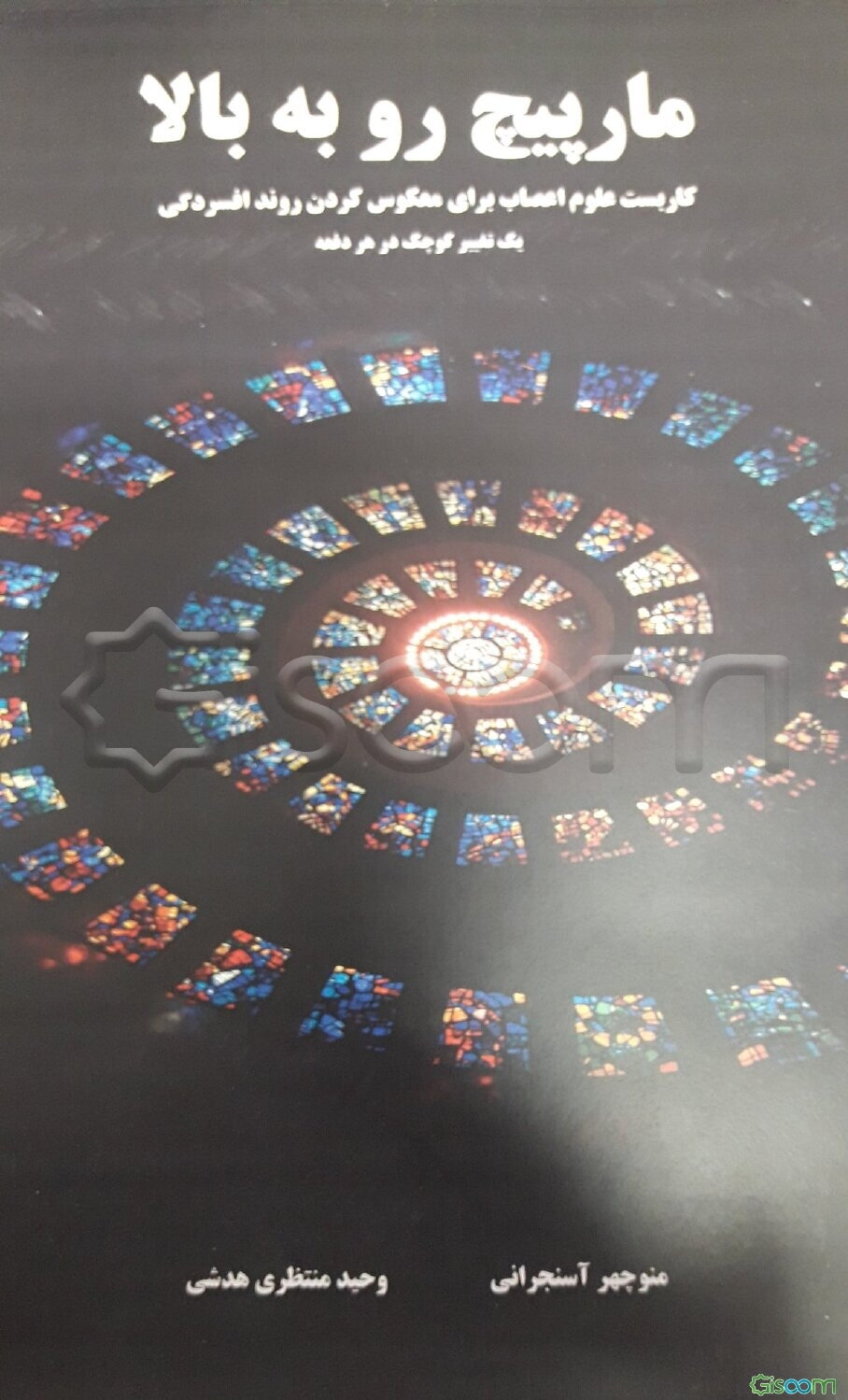 مارپیچ رو به بالا: کاربست علوم اعصاب برای معکوس کردن روند افسردگی یک تغییر کوچک در هر دفعه