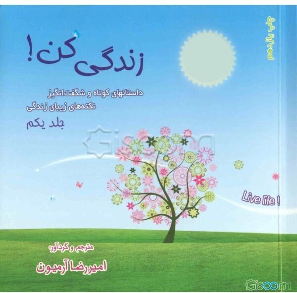 زندگی کن!: داستانهای کوتاه و شگفت‌انگیز (جلد 1)