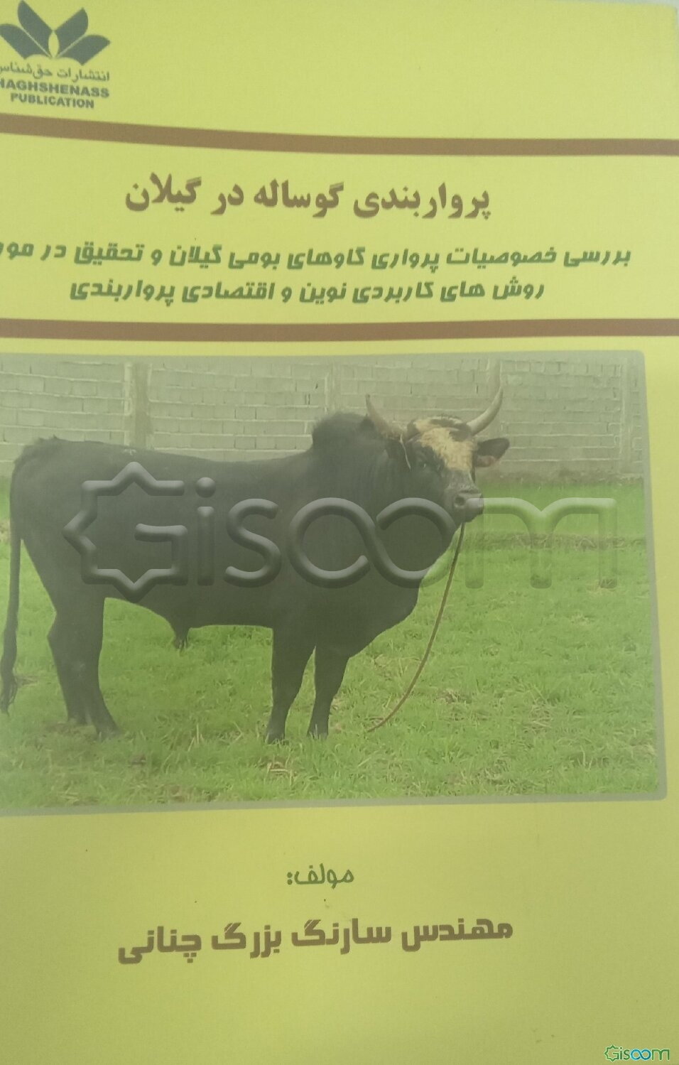 پرواربندی گوساله در گیلان: بررسی خصوصیات پرواری گاوهای بومی گیلان و تحقیق در مورد روش‌های کاربردی نوین و اقتصادی پرواربندی