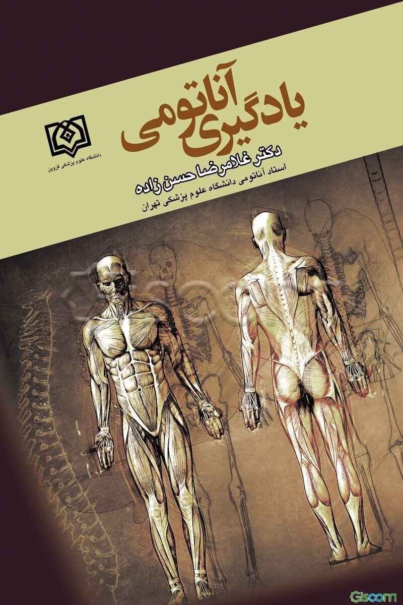 یادگیری آناتومی