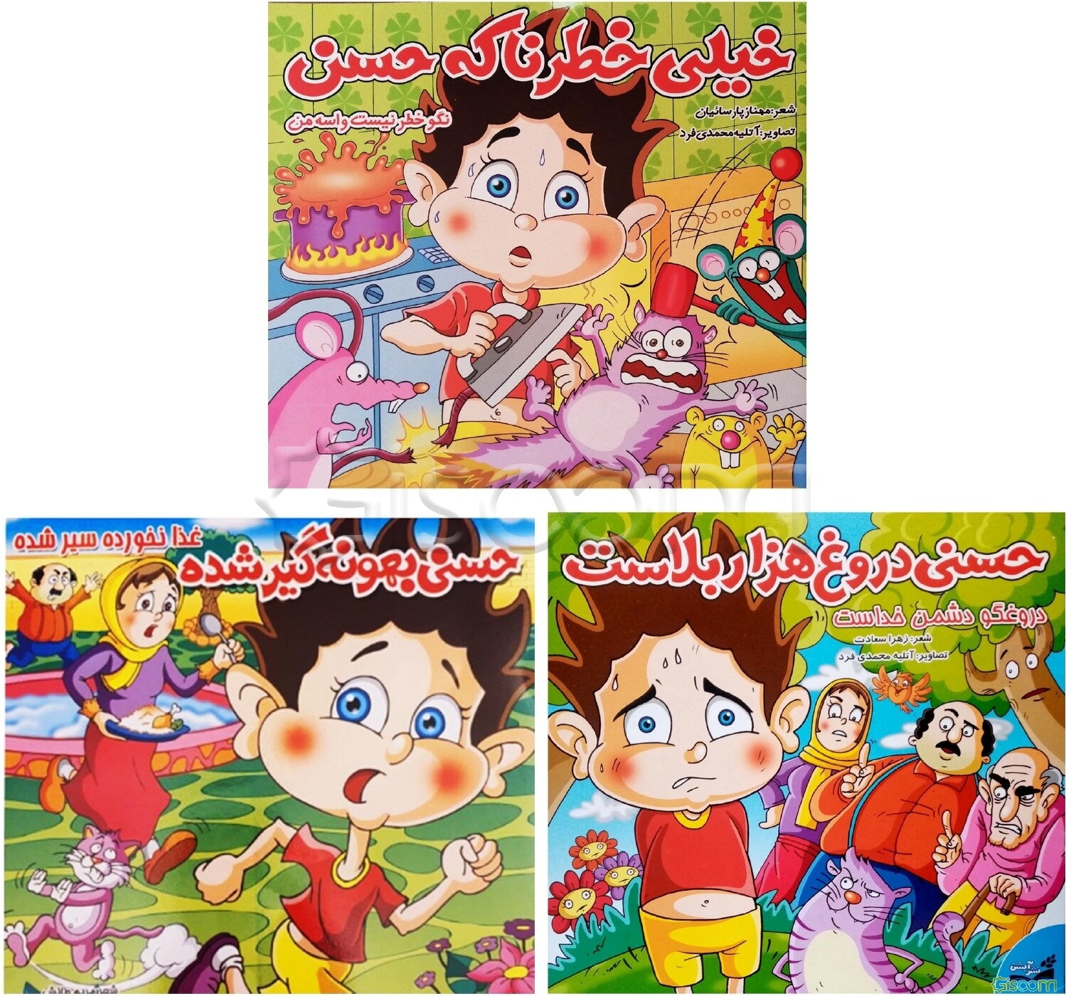 شعر حسنی   3 جلدی