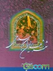 شعر و شاعر در ایران اسلامی: شعر (جلد 1)