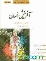 آفرینش انسان