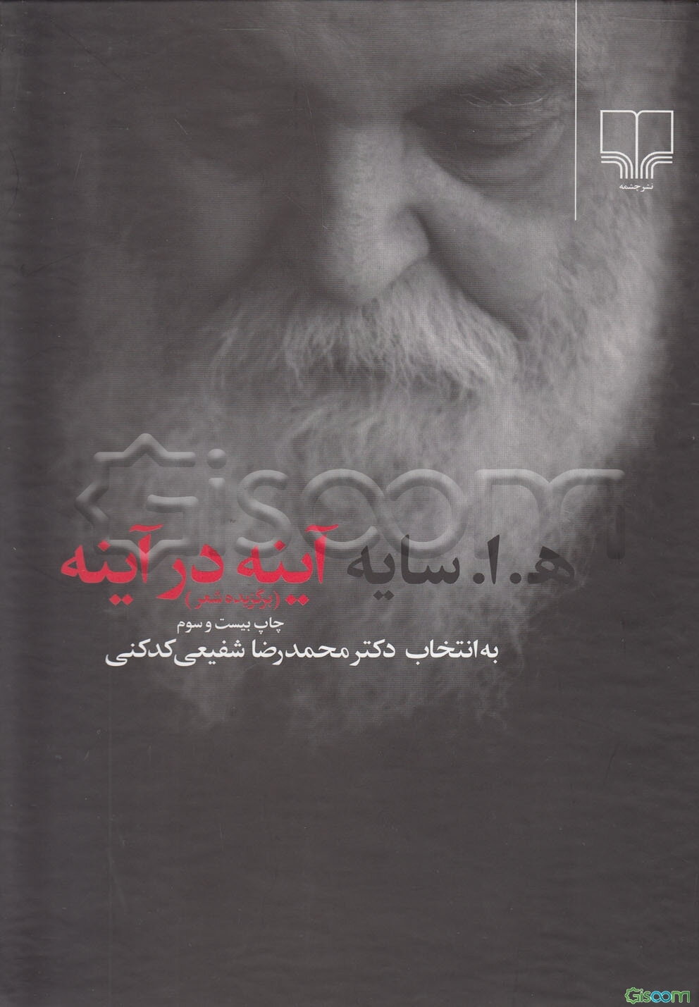آینه در آینه (برگزیده شعر)