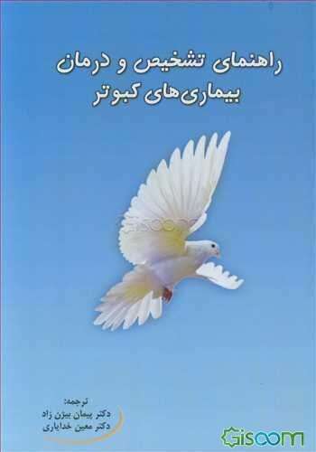 راهنمای تشخیص و درمان بیماری‌های کبوتر