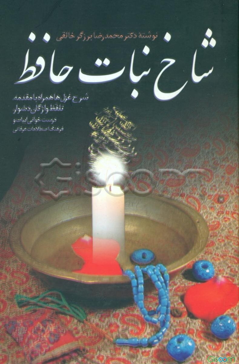 شاخ نبات حافظ: شرح غزل‌ها، همراه با مقدمه، تلفظ واژگان دشوار، درست‌خوانی ابیات و فرهنگ اصطلاحات ...