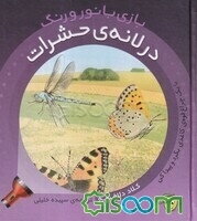 در لانه‌ی حشرات