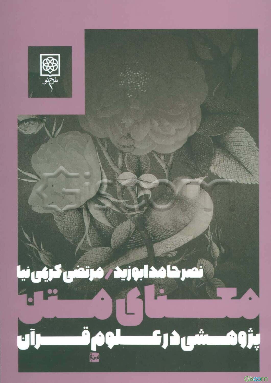 معنای متن: پژوهشی در علوم قرآن