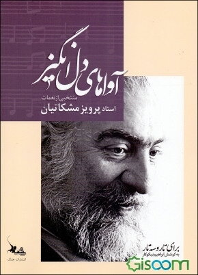 آواهای دل‌انگیز: منتخبی از نغمات استاد پرویز مشکاتیان برای تار و سه‌تار